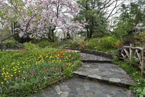 Lire la suite à propos de l’article Plantes pour un jardin Shakespeare : comment créer un jardin Shakespeare