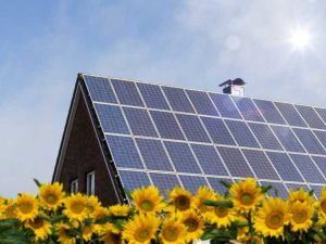 Lire la suite à propos de l’article Panneaux solaires de jardin : conseils pour ajouter des panneaux solaires aux cours