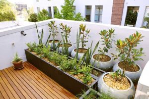 Lire la suite à propos de l’article Jardinage sur les toits pour les citadins