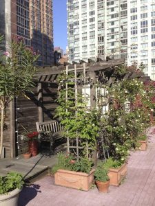 Lire la suite à propos de l’article Jardinage urbain : le guide ultime du jardinage urbain