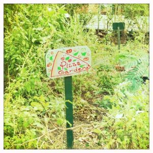 Lire la suite à propos de l’article Jardin d'herbes aromatiques A Kid's Pizza – Cultiver un jardin de pizza