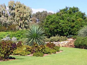 Lire la suite à propos de l’article Style de jardinage australien : découvrez le jardinage en Australie