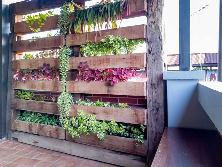 You are currently viewing Jardin vertical avec balcon d'appartement : cultiver un jardin vertical avec balcon