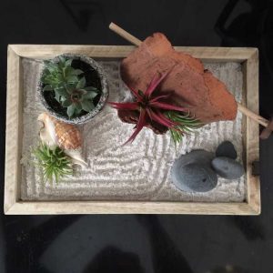 Lire la suite à propos de l’article Arrangements succulents zen : comment créer un jardin zen succulent