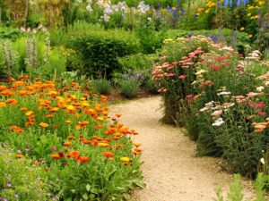 Lire la suite à propos de l’article Jardinage carbone : jardiner pour réduire votre empreinte carbone