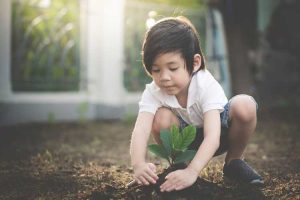 Lire la suite à propos de l’article Problèmes de comportement et jardinage : utiliser le jardinage pour les troubles du comportement