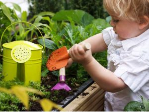 Lire la suite à propos de l’article Outils de jardinage pour tout-petits – Choisir des outils de jardinage pour les tout-petits