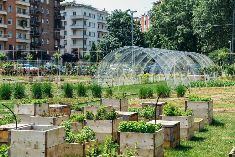 You are currently viewing Faits sur l'agriculture urbaine – Informations sur l'agriculture en ville