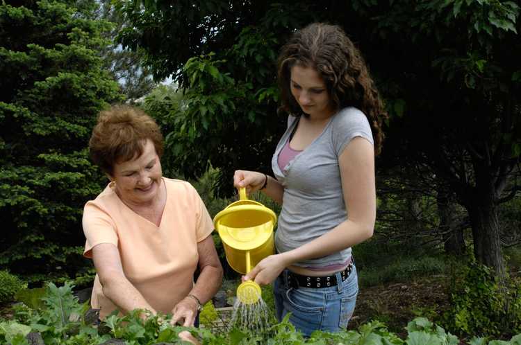 Lire la suite à propos de l’article Activités de jardinage pour les adolescents : comment jardiner avec des adolescents