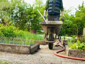 Lire la suite à propos de l’article Corvées de jardin à la fin du printemps – Choses à faire dans le jardin à la fin du printemps