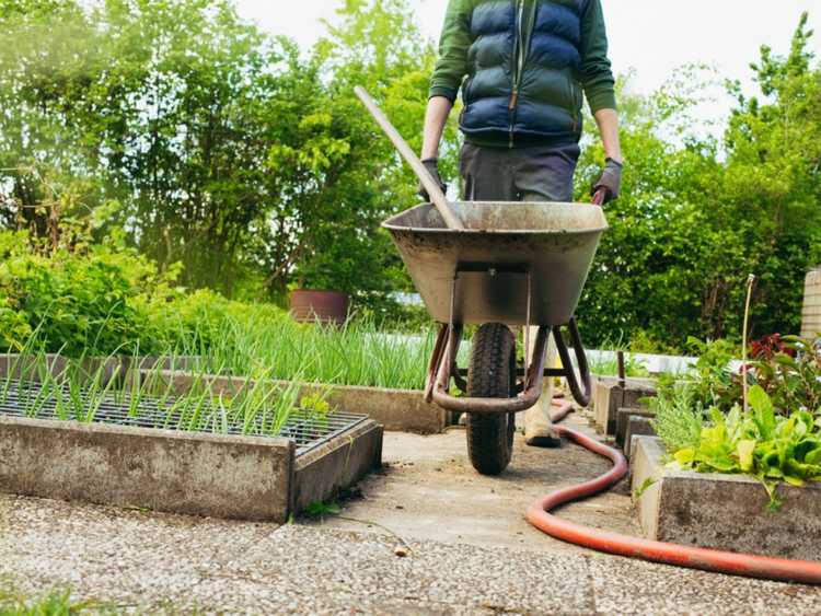 You are currently viewing Corvées de jardin à la fin du printemps – Choses à faire dans le jardin à la fin du printemps