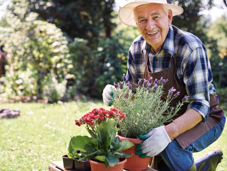 You are currently viewing Outils de jardinage et arthrite – Outils de jardinage pour les mains arthritiques