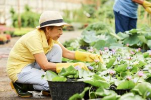 Lire la suite à propos de l’article Chapeaux pour jardiniers – Comment choisir le meilleur chapeau de jardinage