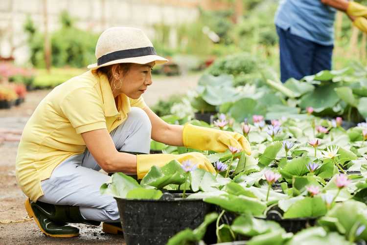 You are currently viewing Chapeaux pour jardiniers – Comment choisir le meilleur chapeau de jardinage