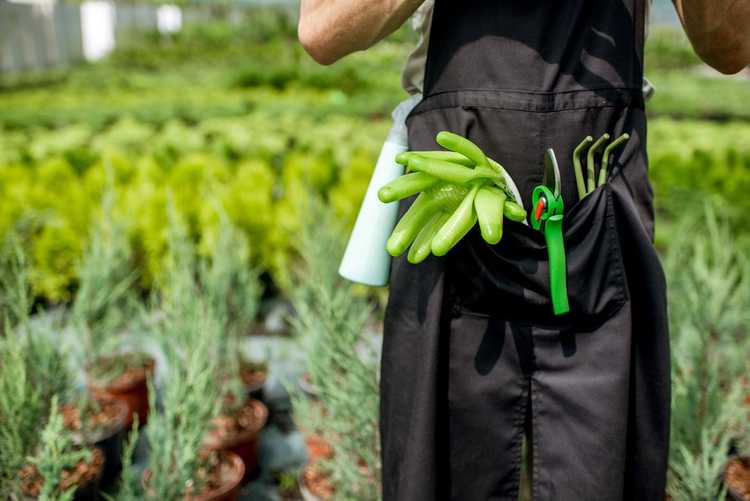 Lire la suite à propos de l’article Outils de jardinier débutant – Outils essentiels pour votre ceinture à outils ou votre tablier