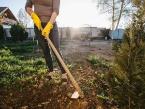 Lire la suite à propos de l’article Outils de jardinage pour femmes – En savoir plus sur les outils de jardinage pour femmes
