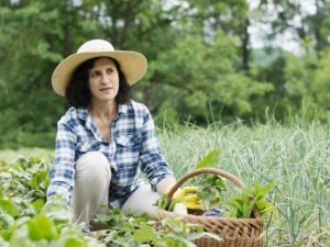 Lire la suite à propos de l’article Conseils de protection solaire – Comment protéger votre peau pendant le jardinage