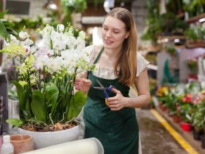 Lire la suite à propos de l’article Quand couper les plantes d'orchidées : Apprenez à tailler une orchidée