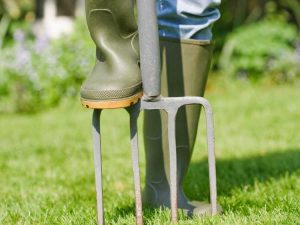 Lire la suite à propos de l’article Les avantages de l’aération de la pelouse : conseils utiles pour aérer votre pelouse
