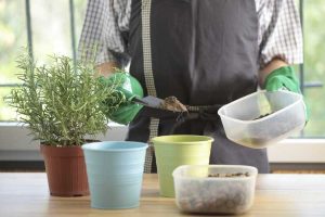 Lire la suite à propos de l’article Liste de fournitures de jardinage en conteneurs : de quoi ai-je besoin pour un jardin en conteneurs