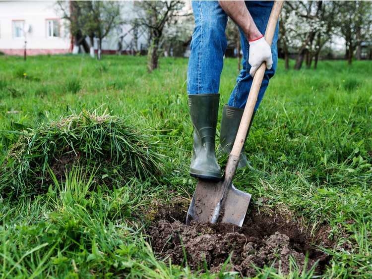 Lire la suite à propos de l’article Entraînement sur le thème du jardin : façons de faire de l'exercice pendant le jardinage