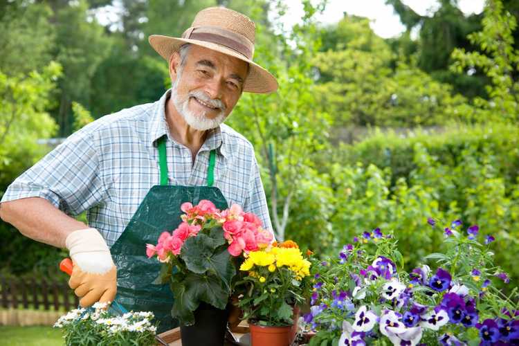 Lire la suite à propos de l’article Qu'est-ce qu'un maître jardinier : découvrez la formation de maître jardinier