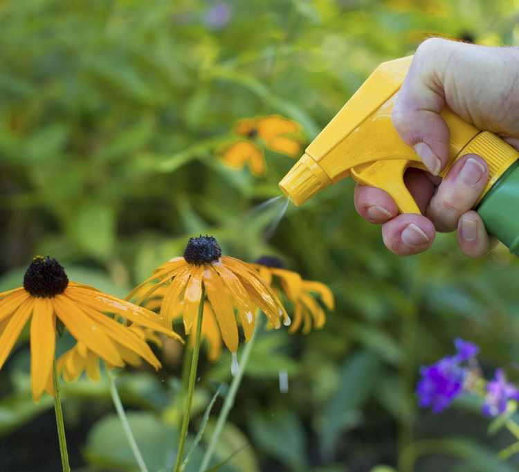Lire la suite à propos de l’article Problèmes de jardinage non biologique
