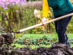 Lire la suite à propos de l’article Préparer de nouveaux lits à l'automne – Comment préparer les jardins à l'automne pour le printemps