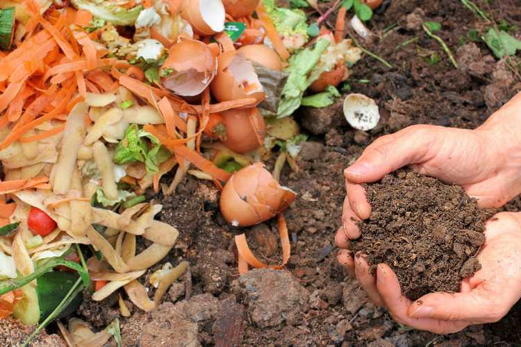 You are currently viewing Comment faire du compostage : conseils pour démarrer un tas de compost à la maison