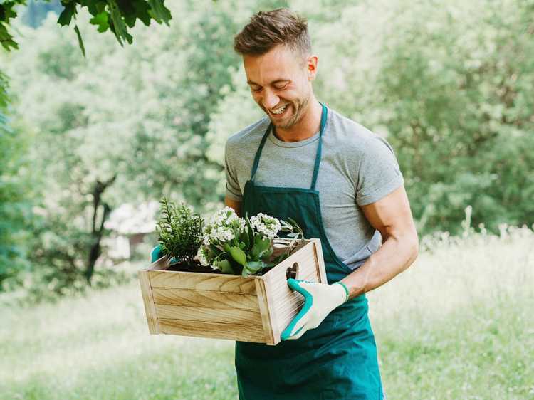 Lire la suite à propos de l’article Jardinage pour la génération Y – Découvrez pourquoi la génération Y adore le jardinage