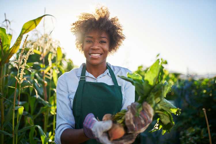 Lire la suite à propos de l’article Comment travailler dans l'horticulture – Découvrez les carrières en jardinage