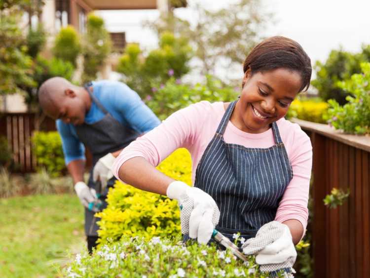 You are currently viewing Vêtements de protection pour jardiniers – Le meilleur équipement de protection pour le jardin