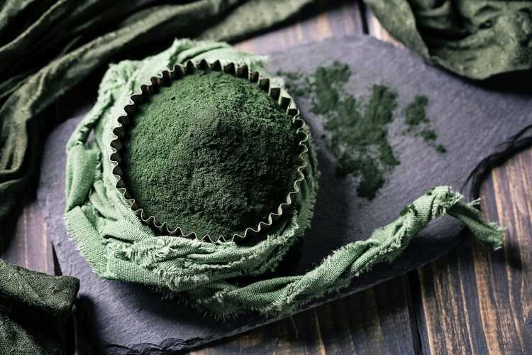 You are currently viewing Qu'est-ce que la spiruline : comment fabriquer un kit d'algues spiruline