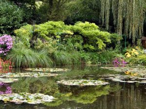 Lire la suite à propos de l’article Comment jardiner comme Monet – Ce que nous pouvons apprendre du jardin de Monet