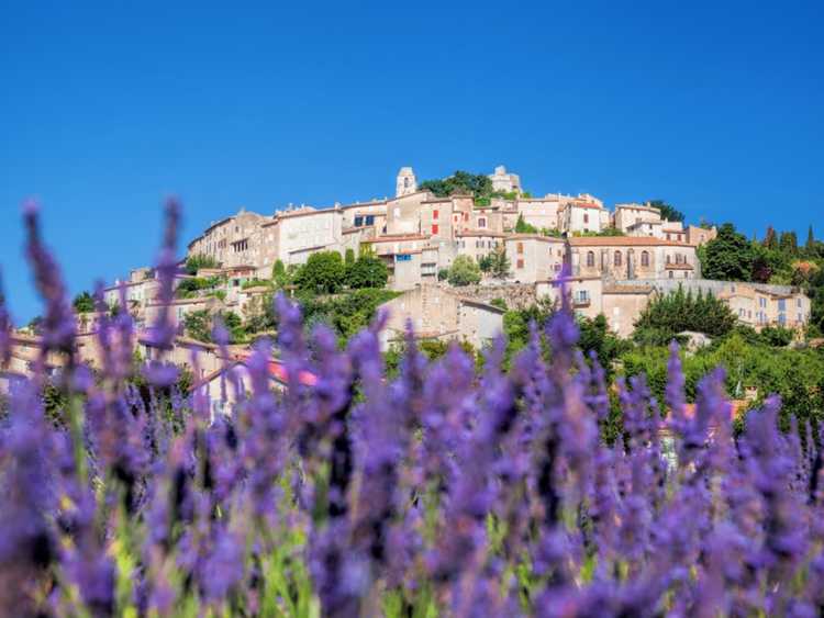 Lire la suite à propos de l’article Le jardin d'herbes médicinales médiéval