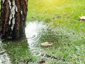 Lire la suite à propos de l’article Comment rediriger les eaux de ruissellement dans le paysage