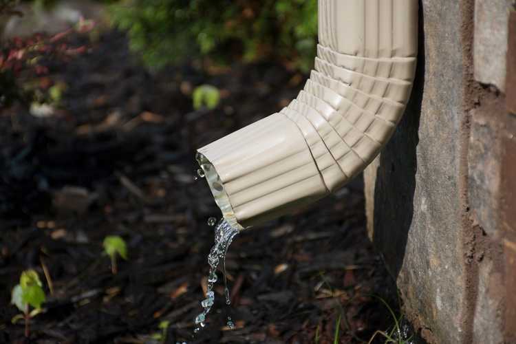 You are currently viewing Jardinage par pluie de ruissellement : conseils pour planter un jardin de tourbières avec descente pluviale