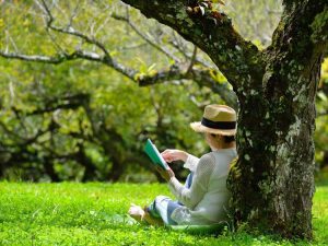 Lire la suite à propos de l’article Bibliothèque de jardin : meilleurs livres de jardinage pour les amoureux de la nature