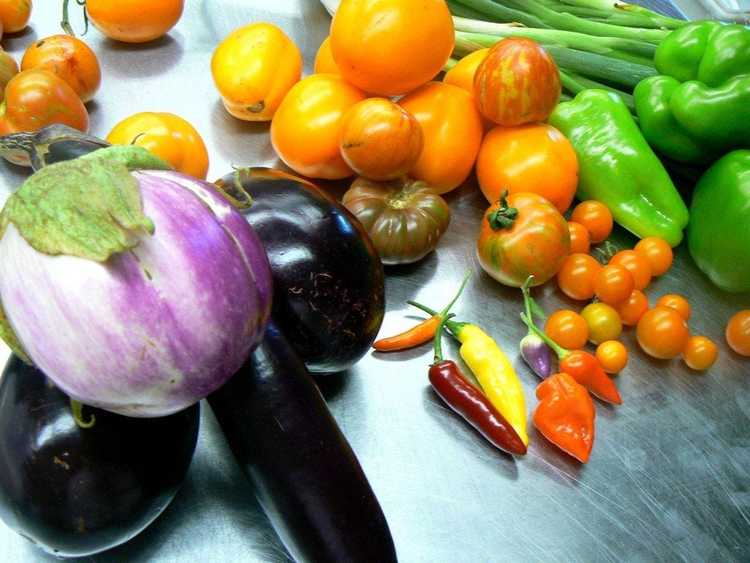 You are currently viewing En savoir plus sur les légumes de la famille des solanacées