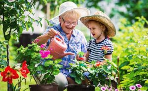 Lire la suite à propos de l’article Conception de jardin adaptée aux familles : comment cultiver un jardin pour les enfants et les adultes