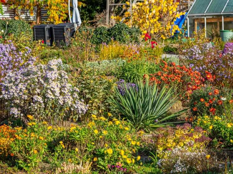 Lire la suite à propos de l’article Bases du jardinage floral : conseils pour réussir le jardinage floral