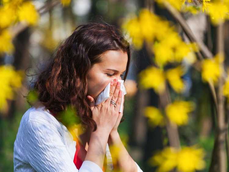 You are currently viewing Les pires plantes contre les allergies