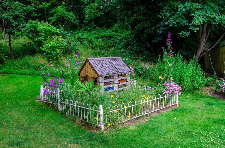 You are currently viewing Jardins de mauvaises herbes pour la faune : créer un lit de jardin de mauvaises herbes