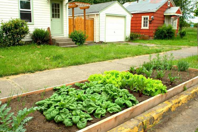 Lire la suite à propos de l’article Piétinement et vol de plantes dans les jardins : comment protéger les plantes des étrangers