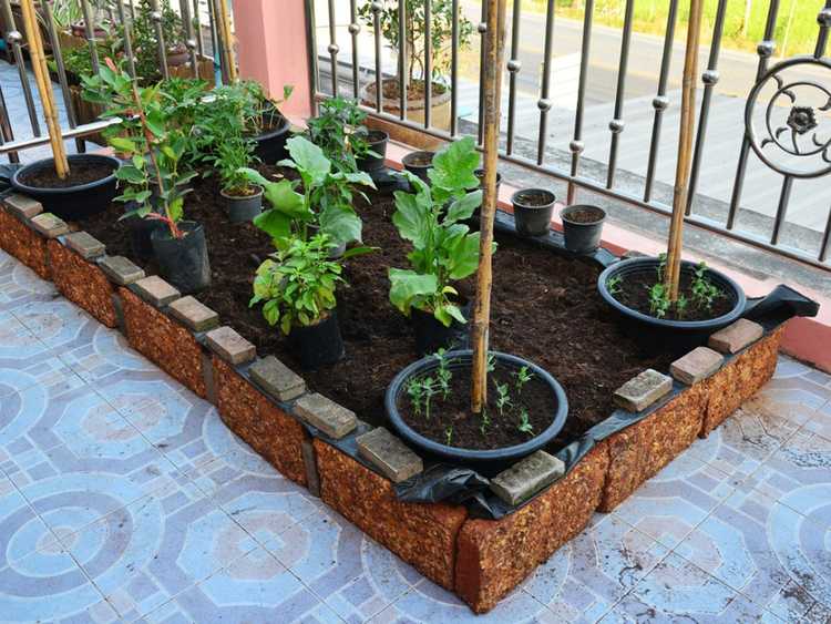Lire la suite à propos de l’article Qu'est-ce qu'un lit de jardin sans labour : comment créer un jardin sans labour
