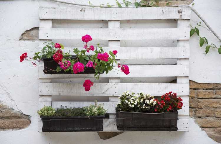 Lire la suite à propos de l’article Idées de jardinage de palettes – Comment faire pousser un jardin de palettes
