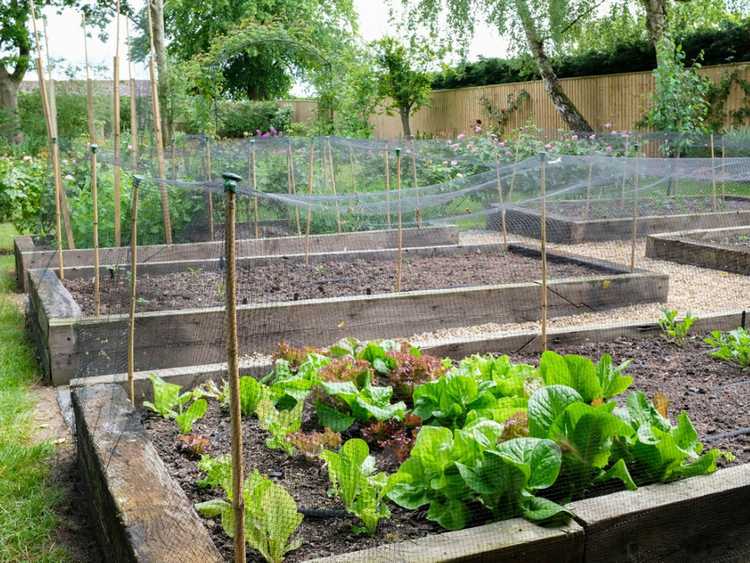 You are currently viewing Les traverses de chemin de fer sont-elles sans danger pour le jardinage : utiliser des traverses de chemin de fer pour les plates-bandes