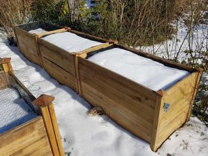 Lire la suite à propos de l’article Préparation hivernale du potager : comment préparer les plates-bandes de potager pour l'hiver