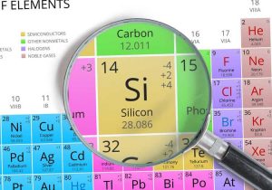 Lire la suite à propos de l’article Silicium et jardinage : les plantes ont-elles besoin de silicium dans le jardin