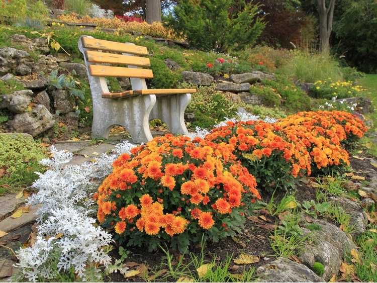 You are currently viewing Jardins d'automne fleuris : créer un magnifique jardin d'automne